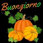 BUONGIORNO!