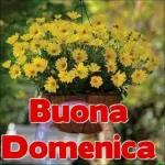 buona domenica