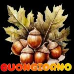 BUONGIORNO