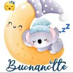 BUONANOTTE O