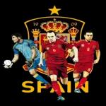 Finale degli Europei, tutto pronto!