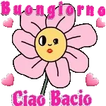 Buongiorno Ciao Bacio