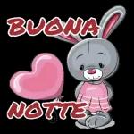 BUONANOTTE