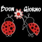 BUONGIORNO