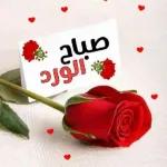 جمعة مباركه 