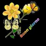 x8668 BUONA GIORNATA