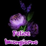  LAN Good Rugiada
TI MANDO UN
DOLCE BACIO
PER
AUGURARTI LA
ΜΙΑ
BUONANOTTE!
ProverbiBelli.it