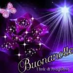 Buonanotte 29