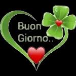 serena giornata 🌤