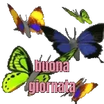 Buongiorno