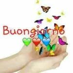Buongiorno