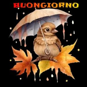 BUONGIORNO - getsticker.com