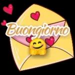 BUONA NOTTE
ikimi.com