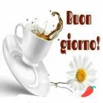 Buondi
ranocchio
E piove...