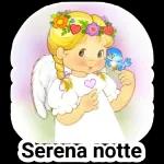 buonanotte con la serenità 🤫