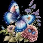 Buona colazione