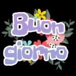 Buona Notte!!