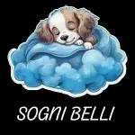 BUONANOTTE