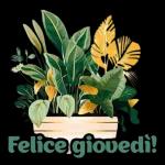 La settimana è quasi finita, manca poco al relax