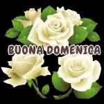 A DOMANI SOGNI BELLI!  BUONANOTTE