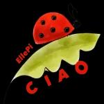 Ciao...Un dolce buongiorno