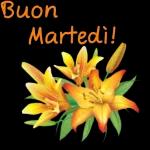 Buon
Martedi!