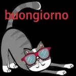 buongiorno