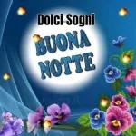 Buonanotte 50