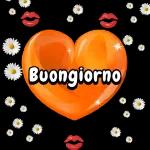 Dolce sogni