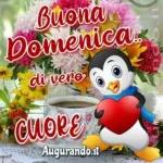 BUONA DOMENICA