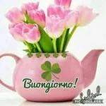 Buongiorno