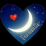 все, со ошабиопа