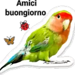 Una chiamata speciale dal 2025! 📞