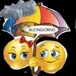 Buondi
ranocchio
E piove...