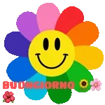 Divertimento e Serenità 🌈🤣