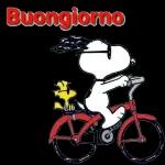 Buongiorno