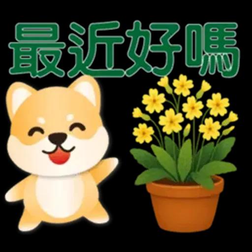 可愛柴犬*實用問候語貼圖
