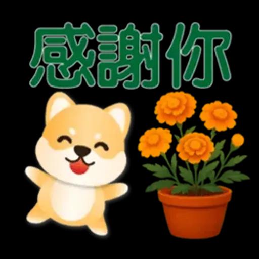 可愛柴犬*實用問候語貼圖