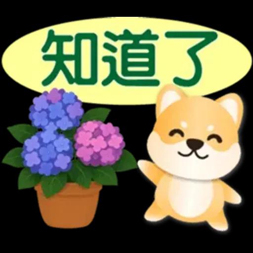 可愛柴犬*實用問候語貼圖