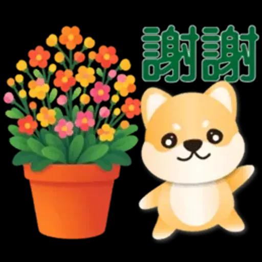 可愛柴犬*實用問候語貼圖