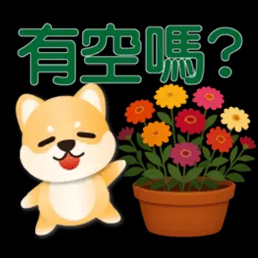 可愛柴犬*實用問候語貼圖