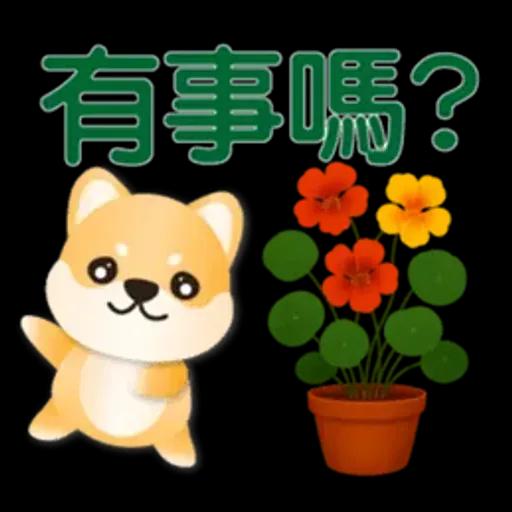 可愛柴犬*實用問候語貼圖