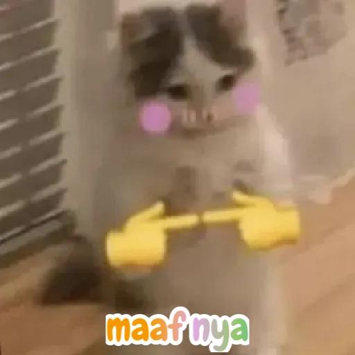 maaf 