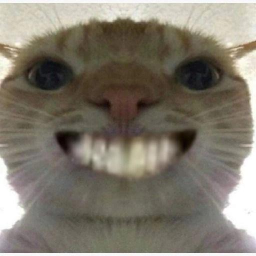 goffy ah memes