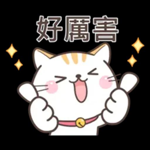 可愛貓小花♡路上小心