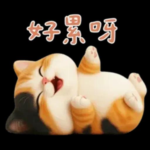 小花貓來嘍來嘍！