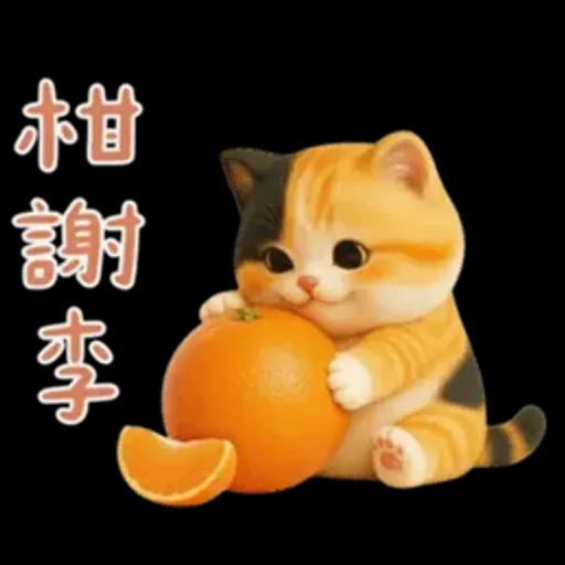 小花貓來嘍來嘍！