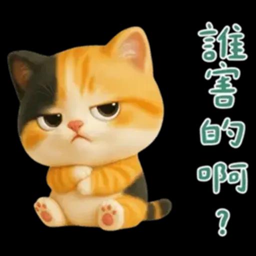 小花貓來嘍來嘍！