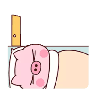 ...
