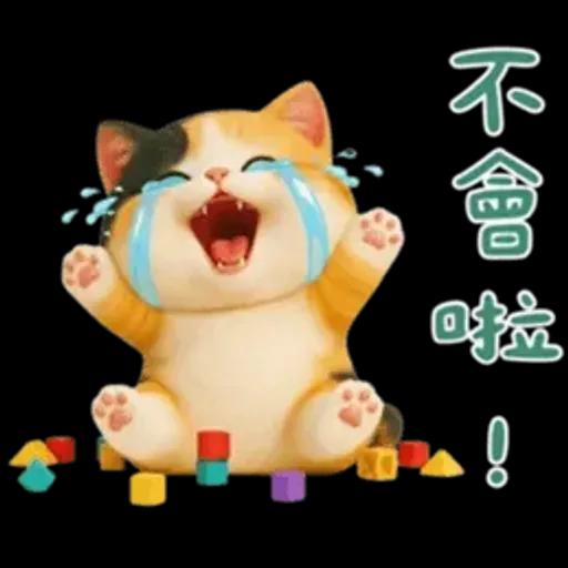 小花貓來嘍來嘍！